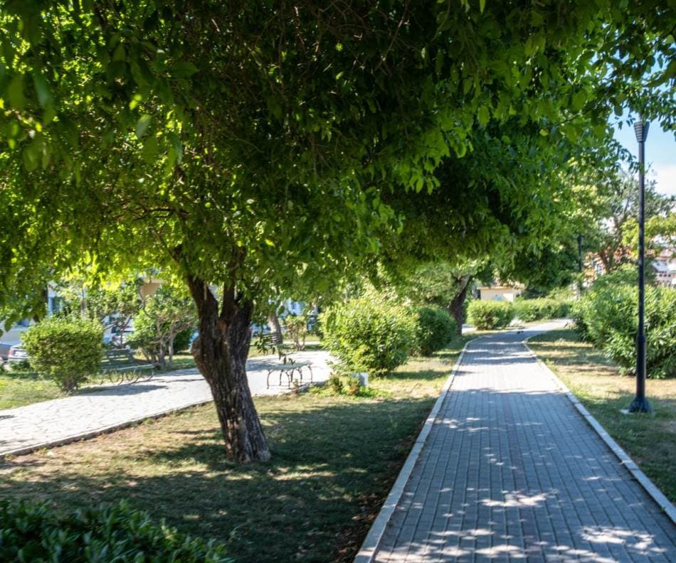 Nije dovoljno da se posadi veliki broj drveća: Otkrivena kombinacija koja umanjuje osjećaj toplote u gradovima